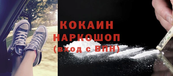 гидра Верея