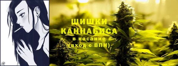 гидра Верея